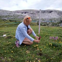 Tre Cime di Lavaredo